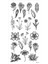 Mini Floral Geçici Dövme,geçici Tattoo ,vücut Dövme,kol Bilek Dövme,boyun Dövme,sırt Dövme 3