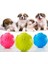 Pati Desenli Köpek Isırma Topu 1