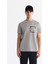 Erkek Gri Bisiklet Yaka Baskılı Elastan Regular Fit T-Shirt A42Y1020 6