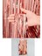 Metalize Arka Fon Perde (Rose Gold) 1