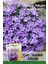 Botanik 100 Adet Çan Kadeh (Campanula L.) Çiçek Tohumu 1