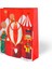 Yılbaşı Temalı Varak Baskılı Karton Çanta 26X32 cm 4