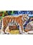 Puzzle 100 Parça Animal Planet Bengal Kaplanı 2