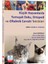 Küçük Hayvanlarda Yumuşak Doku, Ortopedi ve Oftalmik Cerrahi Teknikleri 1