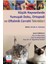Küçük Hayvanlarda Yumuşak Doku, Ortopedi ve Oftalmik Cerrahi Teknikleri 2