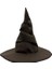 Harry Potter Seçmen Şapkası Çocuk Boy 1