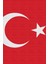 Türk Bayrağı Kanvas Tablo Ay Yıldız Tablo Türkiye 4