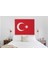 Türk Bayrağı Kanvas Tablo Ay Yıldız Tablo Türkiye 5