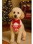 Yilbasi Konseptli Kedi Köpek Bandanası 2