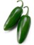 Jalapeno Biberi Tohumu 20+ Adet 4