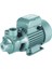 Qb 60 Sürtme Fanlı/preferikal Su Pompası 0.5 Hp / 0.37 Kw - Monofaze 220 V | 35 Mss, 2 M3/h 1