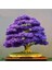 Dünyam Bodur Mor Azalea Bonsai Ağacı Tohumu 5 Adet Tohum 1