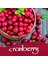 (Cranberry - Red) - Ink Of The Senses 15 ml Scented'cranberry' - Red 3