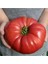 Ithal Dev Hollanda Domates Tohumu 10 Adet Tohum 3