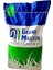 Garden Çim Tohumu Ithal 6'li Karışım Grand Master Seed 6-M Mix 1 kg 1