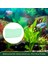 20 Adet Fluval 307/407/306/406 Fosfat Sökücü Pedleri Akvaryum Filtresi Yedek Pedleri Balık Tankı Için (Yurt Dışından) 5