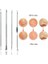 Nokta Akne Temizleyici 4'lü Kutulu Paslanmaz Komedon Gümüş Komedon Seti Sivilce Siyah Nokta Çıkarıcı Kaliteli 2