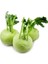 Tarım Yerli Doğal Kohlrabi Yer Lahanası Cehennem Topuzu Yeşil Alabaş Turpu 100 Adet Tohum 1