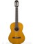 Klasik Gitar 4/4 Mat Kılıf ve Pena 3