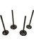 Kawasaki KLX300 KLX300R 12004-1111 12005-0031 BR250 Z250SL Için 4pcs Alım ve Egzoz Valfleri (Yurt Dışından) 2