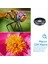 10 Arada 1 Cep Telefonu Lens Kiti 22X Telefoto Lens Balıkgözü Lens+Geniş Açılı Makro Lens+Tüm Akıllı Telefonlar Için Cpl Filtreleri (Yurt Dışından) 2