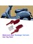 Motosiklet Arka Yolcu Ayak Çekimleri Uzatma Bi Vespa GTS300 GTS250 GT60 Gts Gtv 125 200 250 300 (Yurt Dışından) 2
