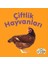 Çiftlik Hayvanları - Mini Karton Kitaplar 1