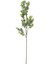 Branch Yeşil Dal Çiçek 74CM 5