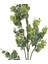 Branch Yeşil Dal Çiçek 74CM 6