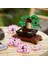 Icons Bonsai Ağacı 10281 3