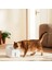 Smart Pet Fountain 2 Akıllı Evcil Hayvan Su Haznesi (Türkiye Garantili) 3