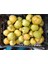 Göksulu Armut 3kg 1