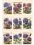 Retro Çiçekler Temalı 9'lu Kartpostal 1