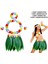 Yetişkin Hawaii Kostüm Seti - Yaprak Etek &amp;amp;amp; Hawaii Set - 5 Parça (4887) 1