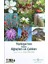Çoklu Evrenin Çekiciliği + Doğamızın Iyilik Melekleri: Şiddet Neden Azaldı? + Türkiyenin Bütün Ağaçları ve Çalıları 3