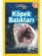 Köpek Balıkları: Seviye 2 (Kapak Değişebilir) + Yeni Bilim + Insanda ve Hayvanlarda Duyguların Ifade Edilmesi 1