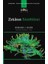 Feynman Fizik Dersleri - Alıştırmalar: Yeni Milenyum Basımı Cilt I, Iı ve Iıı Için + Zekanın Sinirbilimi 2