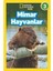 Bilgiyle Sohbet: Popüler Bilim Yazıları + Mimar Hayvanlar - National Geographic Kids: Seviye 3 (Kapak Değişebilir) 2