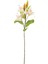 LILYUM ÇİÇEĞİ 86 CM 1