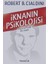 Zengin Olmanızı Istiyoruz: Iki Adam Bir Mesaj + Iknanın Psikolojisi: Teori ve Pratik Bir Arada 2