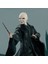 Design Collection – Lord Voldemort Collectible Doll HND82 2023 4