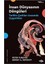 Insan Dünyasının Döngüleri: Tarihin Çarkları Arasında Uygarlıklar + Osmanlı'da Devlet, Hukuk ve Adalet 1