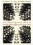 Bilinçdışının Keşfi: Dinamik Psikiyatrinin Tarihi ve Evrimi + Duygular Sözlüğü: Acımadan Zevklenmeye 1