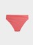 Yeni Sezon Düz Bikini Külot 2