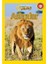 Aslanlar Seviye 1: National Geographic Kids (Kapak Değişebilir) 1