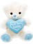 Kalpli Peluş Ayı 30 Cm. 2