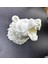 Özel Tasarım Beyaz Ayı Duvar Aksesuarı 3D Dekoratif Heykel 25X19 cm - EMY7178-5964 5