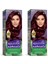 Naturals Saç Boyası Kızıl Viyole 4/6 2x Paket 1