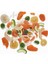 Tropik Karışık Meyve Kurusu ( 100 gr ) 2