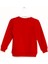 Erkek Çocuk Nakışlı Sweatshirt 1-5 Yaş 2